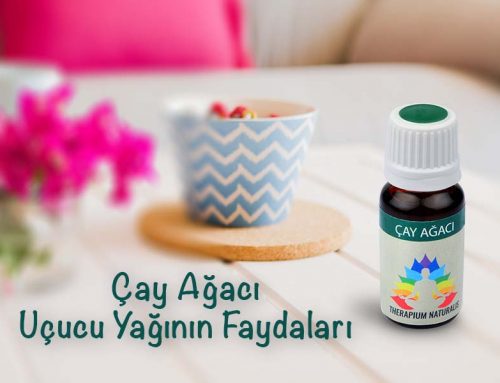 Çay Ağacı Uçucu Yağının Faydaları