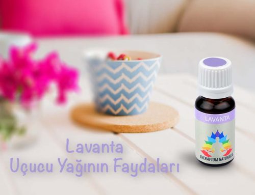 Lavanta Uçucu Yağının Faydaları