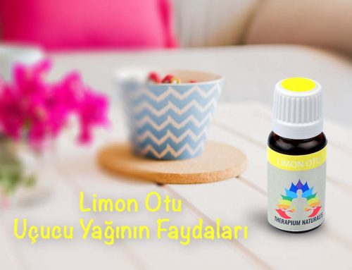 Limon Otu Uçucu Yağının Faydaları