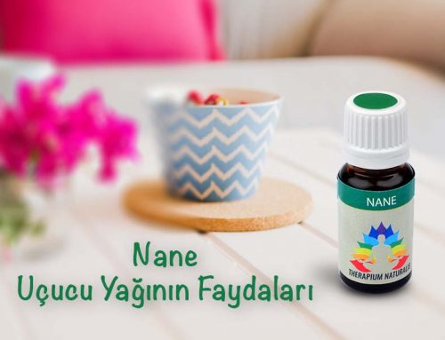 Nane Uçucu Yağının Faydaları