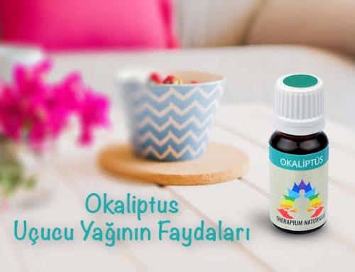 Okaliptüs Uçucu Yağının Faydaları